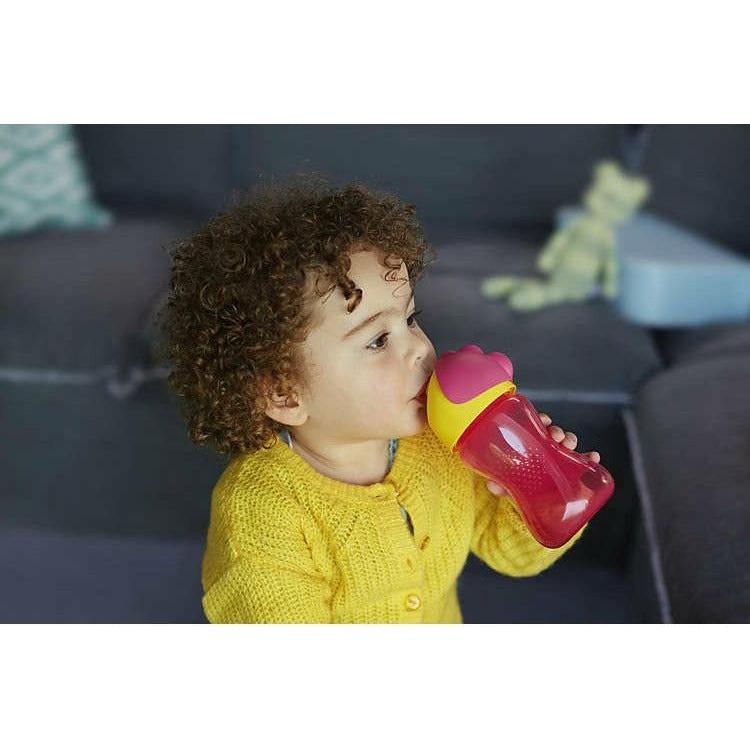 Dark Slate Gray Philips Avent Straw Cup 300ml - 2 Colours